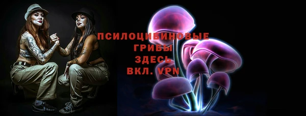 МДПВ Абинск